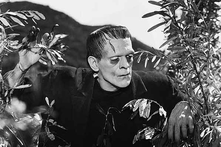 Monstruos del cine. Frankenstein.