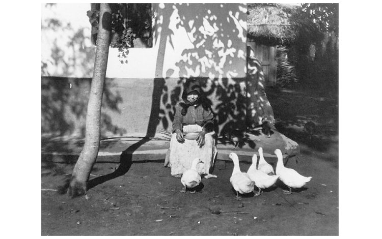 André Kertçesz feeding the ducks